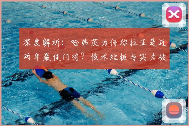 深度解析：哈弗茨为何称拉亚是近两年最佳门将？技术短板与实力被低估原因