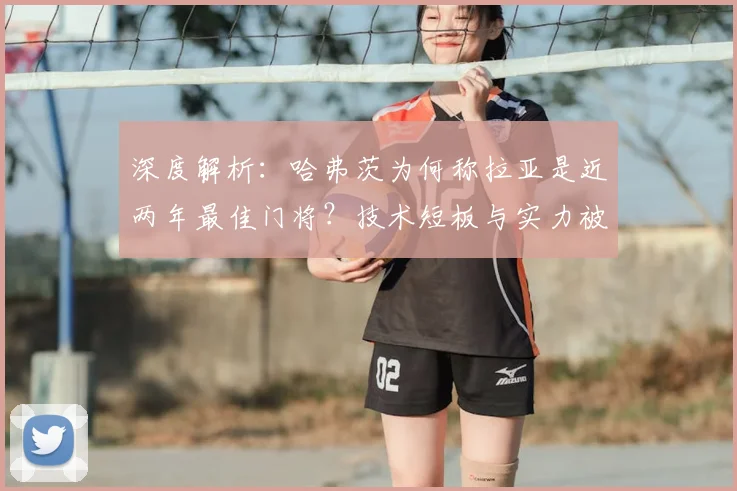 深度解析：哈弗茨为何称拉亚是近两年最佳门将？技术短板与实力被低估原因